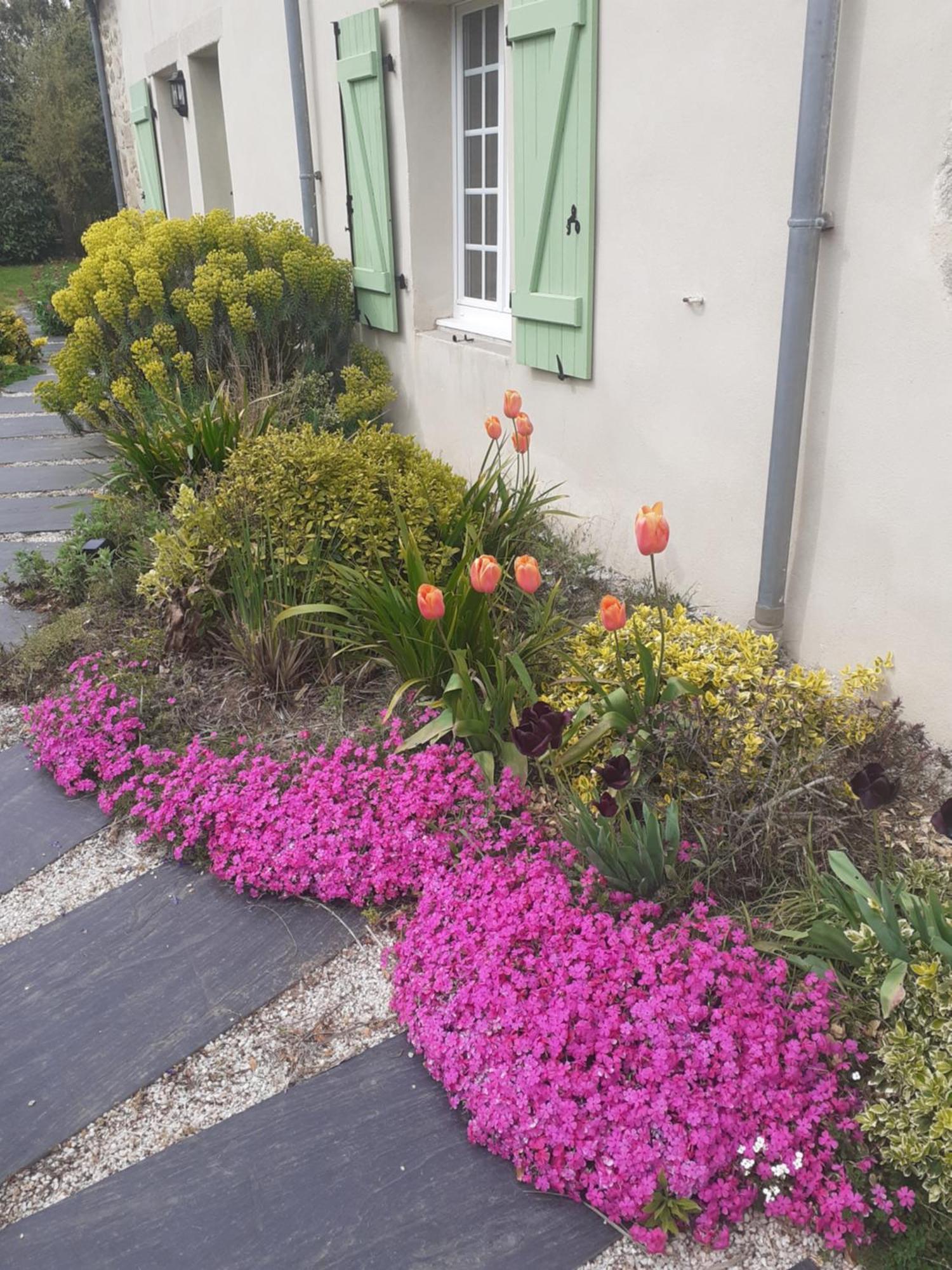 Les Loges De Yoff Bed & Breakfast Ambon Exterior photo